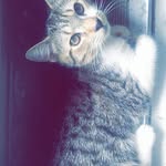 OakleyBarton - @itsyazboyoke - Instagram