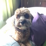 Oakley Bates - Facebook