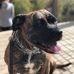 OAKLEY - @oakley_____bates_2 - Instagram