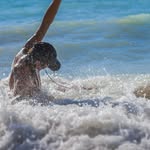 Oakley - @oakley_____bates_f2x - Instagram