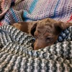 Oakley baxter - @oakleybaxter - Instagram