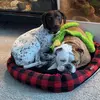 Bella&Oakley - @bellaandoakley - TikTok