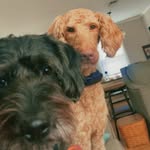 Oakley Bell & Beamer Lane & Cowser Cole - @oakley.beamer.and.cowser - Instagram
