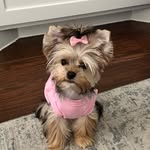 OAKLEY🪩💖🫧 - @oakley.belle - Instagram