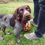 @oakleybell.gsp - Instagram
