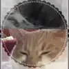 BensonAndOakley - @bensonandoakley1131 - TikTok