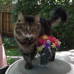 Oakley Benson - Facebook