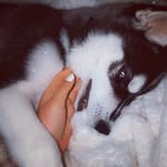 Oakley Benson - @oakley.benson - Instagram