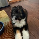 Oakley Berg - @adventures_of_oakley_berg - Instagram
