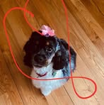 Oakley Berg - Facebook