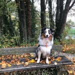 Oakley ,Cambouis & Spritz - @oakley_bergeraustralien - Instagram