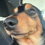 Oakley Blake - Facebook