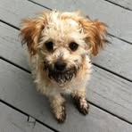 Oakley Bowen - Facebook