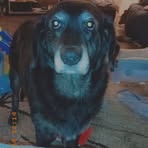 Oakley Bowen - Facebook