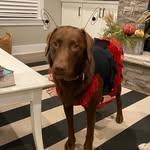 @oakley_joelle_claire_bowman - Instagram