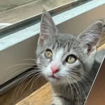 Oakley Boyd - @oakleyb2cute - Instagram