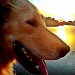@oakley_boyd - Instagram