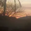 Teresa Boyd - @oakley_boyd - TikTok