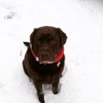 Oakley Brewer - @oakley_brewer - Instagram