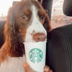 Oakley Brown - @theoakleybrown - Instagram