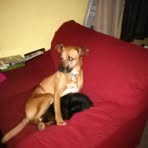 Oakley Carpenter - Facebook