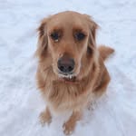 oakley chaney - @oakleychaneyy - Instagram