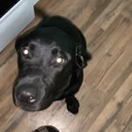 Oakley Reeves - @oakley.chance - Instagram