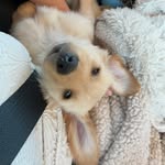 @oakley_clayy - Instagram