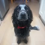 Oakley Cobb - @mroakleycobb - Instagram