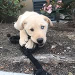 Oakley Combs - @oakley.combs - Instagram