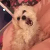 Oakley Cooper - @mynameisoakley - TikTok