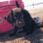 Oakley Cooper - @oakleycooper2022 - Instagram