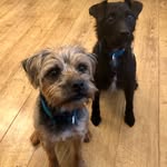 OakleyCooper - @oakley_and_cooper - Instagram