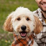 Oakley Davidson - @mr.doodle.oakley - Instagram