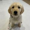 Oakley Rae Davidson - @the.oakley.rae.davidson - TikTok