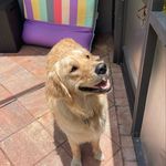 Oakley Rae Davidson - @oakley.rae.davidson - Instagram