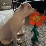 The Adventures of Oakley Rose Davidson - @i_am_oakley_rose_davidson - Instagram