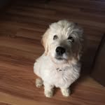 Oakley Dunn - @oakleyrobertdunn - Instagram