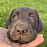 Oakley - @oakley_dunn - Instagram