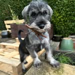 Oakley Edwards - @oakley_edwards6224 - Instagram