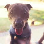 Oakley Edwards - Facebook
