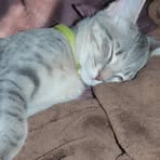 Oakley Edwards - Facebook