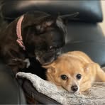 Oakley Fox - Facebook