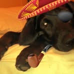 Oakley Hendershot-Freeman - Facebook