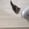 oakleefuller12865 - @oakleefuller12865 - TikTok
