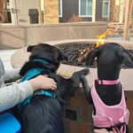 Oakley & Amaya Fuller - @oakleyamayafuller - Instagram