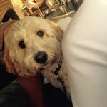 OakleyFuller - @oakley_fuller - Instagram