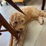Oakley Grant - @oakley.grant_ - Instagram