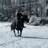 Oakley Grant - @oakley_grant - TikTok
