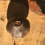 Oakley Harrison - @oakleysprovisions - Instagram